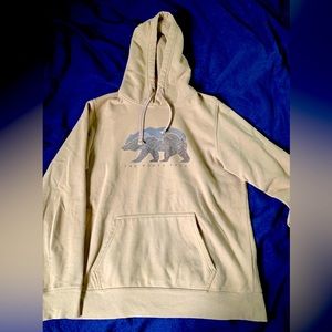 The north face hoodie